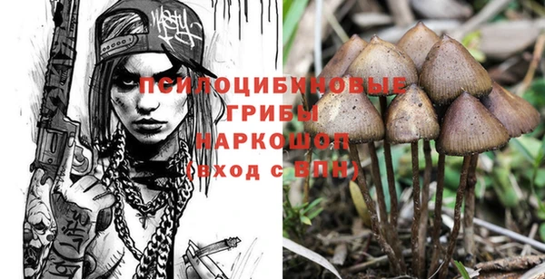 шишки Михайлов